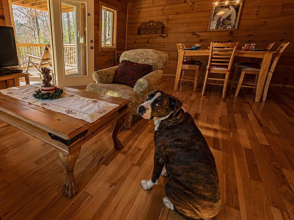 Log Cabin In Smoky Mountains Hotel Sevierville Exterior foto